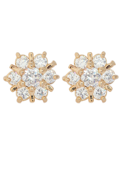 Touchstonead Stones Earring- BBETGE73-01A--Y - TrainingDays